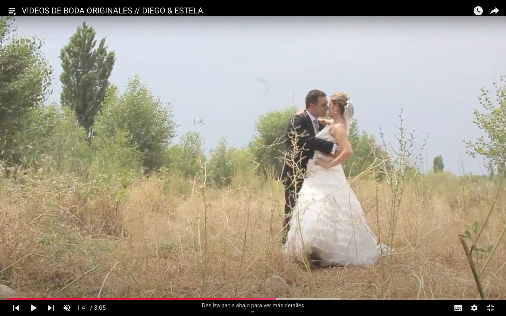 fotografia-area-de-boda