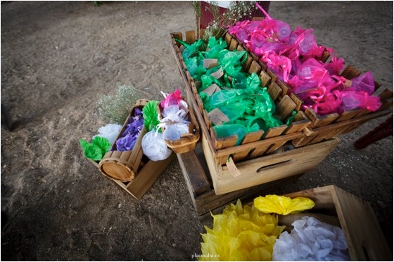 Detalles finca motealegre