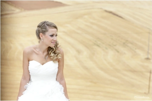 Fotos de bodas toledo